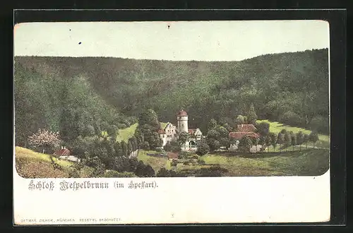 AK Mespelbrunn, Blick zum Schloss im Spessart