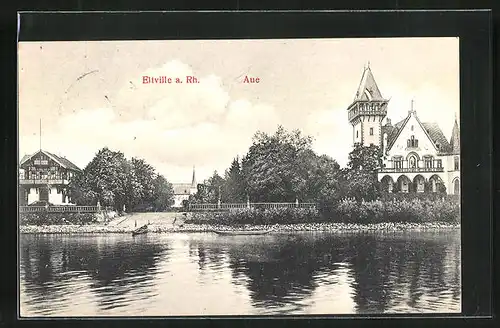 AK Eltville am Rhein, Aue
