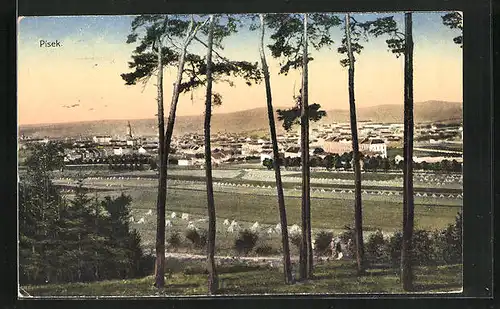 AK Pisek, Celkovy pohled