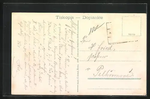 AK Zleby, Celkovy pohled