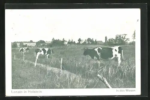 AK Lenste in Holstein, Rinderherde in den Wiesen