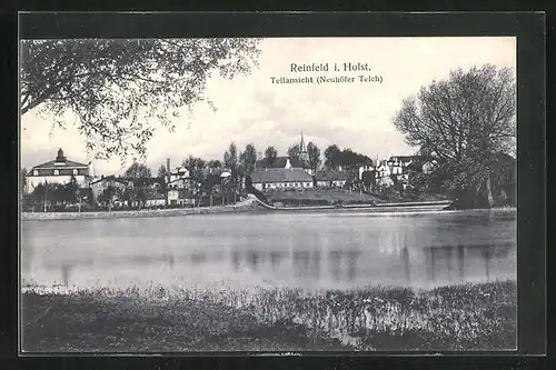 AK Reinfeld in Holst., Teilansicht (Neuhöfer Teich)