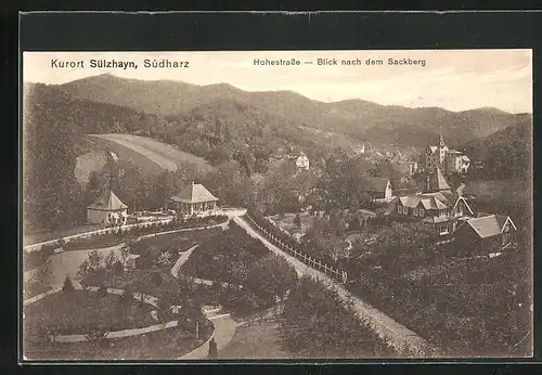 AK Sülzhayn im Südharz, Hohestrasse - Blick nach dem Sackberg