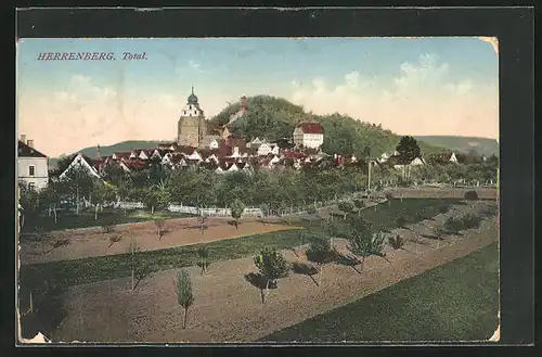 AK Herrenberg, Totalansicht, Blick zur Kirche