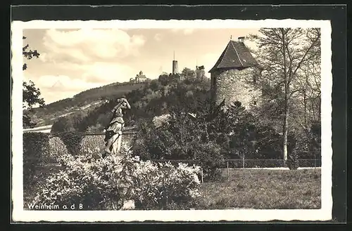 AK Weinheim a.d. B., Blick hinauf zur Burgruine Windeck, Blick aus dem gräflichen Bergheim`schen Park