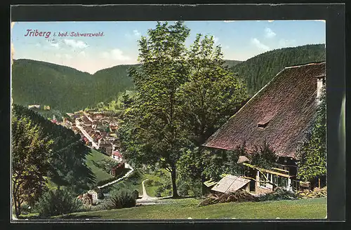 AK Triberg im Schwarzwald, am Bauernhof mit Blick auf den Ort im Tal