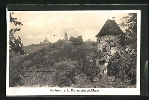 AK Weinheim a.d.B., Blick aus dem Schlosspark