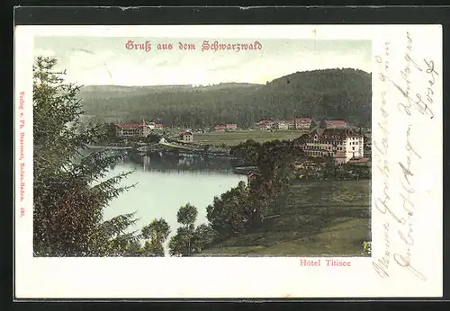 AK Titisee im Schwarzwald, Blick auf die Hotels am Seeufer