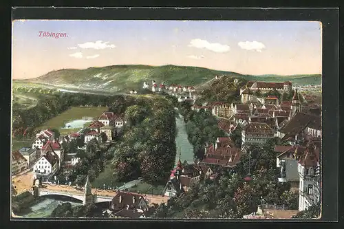 AK Tübingen, Blick auf die gesamte Stadt mit der Brücke im Vordergrund und dem Schloss im Hintergrund