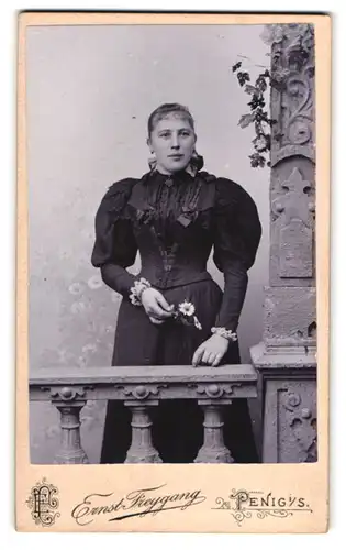 Fotografie Ernst Freygang, Penig i. S., Brückenstr., Portrait hübsche junge Dame im edlen Kleid