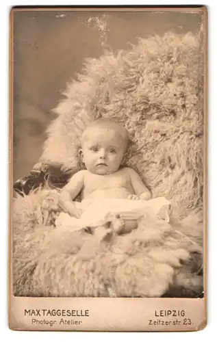 Fotografie Max Taggeselle, Leipzig, Zeitzerstr. 23, Portrait niedliches Baby auf einem Fell