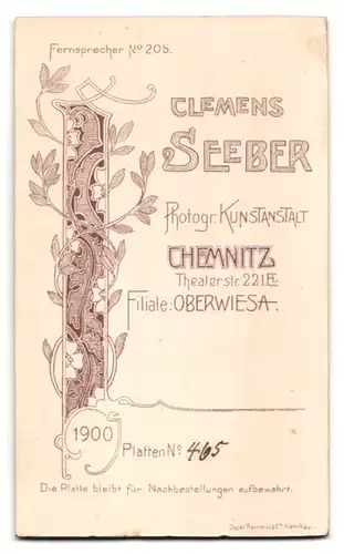 Fotografie Clemens-Seeber, Chemnitz, Theaterstr. 22, Portrait hübsche junge Dame in modischer Bluse