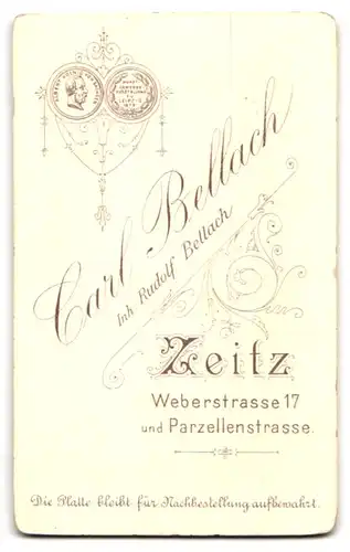 Fotografie Atelier Bellach, Zeitz, Weberstrasse 17, Portrait Dame in edler Bluse mit Brosche