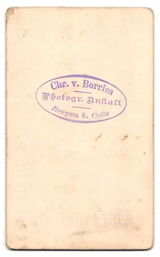 Fotografie Chr. v. Borries, Bergen / Celle, Portrait junger Herr im Anzug mit Fliege