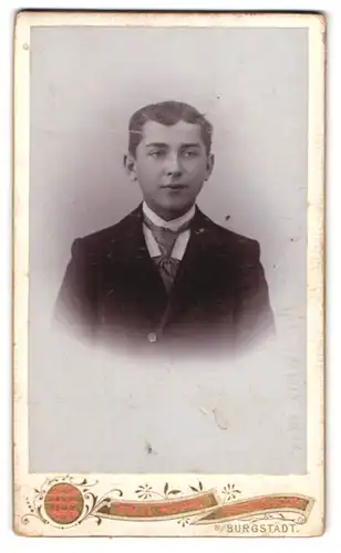 Fotografie Emil Hoppe, Hartmannsdorf, Portrait jugendlicher Knabe im Anzug mit Krawatte