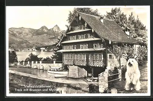 AK Treib am Vierwaldstättersee, mit Brunnen und Mythen