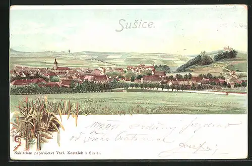 Lithographie Susice, Celkový pohled
