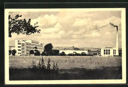 AK Uhr. Hradiste, Zemska nemocnice