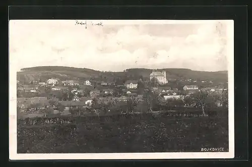 AK Bojkovice, Panorama