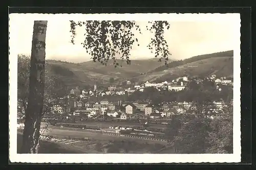 AK Wsetin, Teilansicht mit Baum