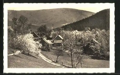 AK Rosenau u. d. Radh., Panorama