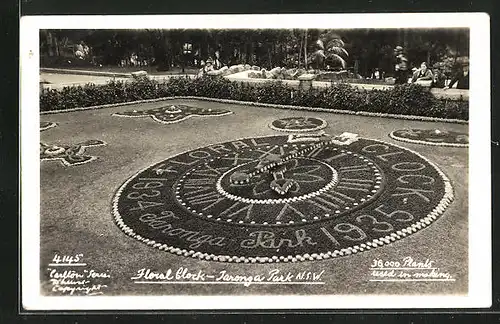 AK Floral Clock, Jaronga Park 1935, Blumenuhr