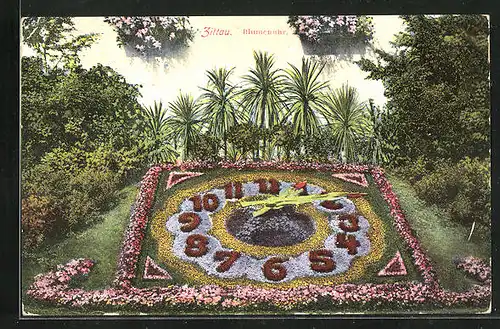 AK Zittau, Blumenuhr im Garten