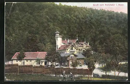 AK Ilfeld, Blick auf das Hotel Netzkater mit Waldlandschaft im Hintergrund