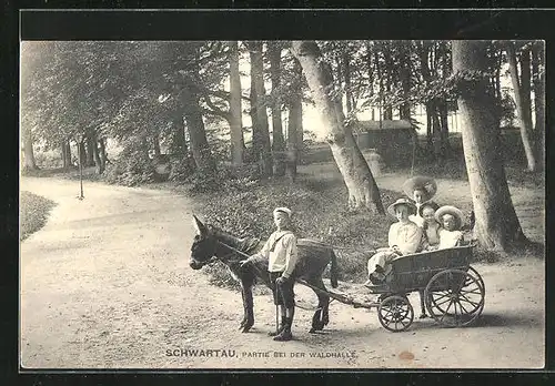 AK Schwartau, Partie bei der Waldhalle, Eselgespann