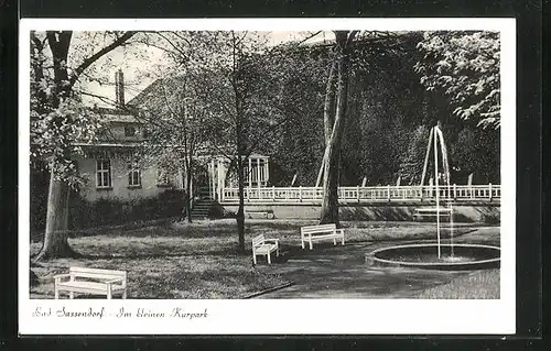 AK Bad Sassendorf, Im kleinen Kurpark mit Springbrunnen