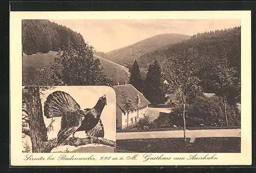 AK Sirnitz bei Badenweiler, Gasthaus zum Auerhahn