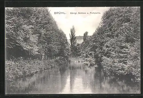 AK Brühl, Königl. Schloss u. Parkpartie
