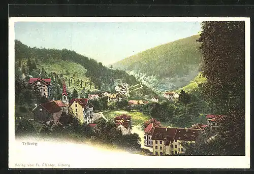 AK Triberg, Teilansicht