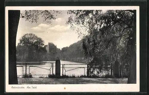 AK Neumünster, Am Teich
