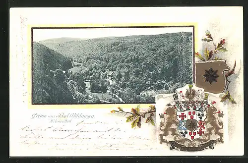 Passepartout-Lithographie Bad Wildungen, Partie im Helenenthal, Wappen