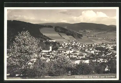 AK Freiwaldau /Frývaldov, Ortsansicht im Frühling