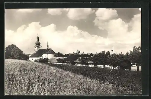 AK Jednov, Blick auf die Ortskirche vom Kornfeld aus