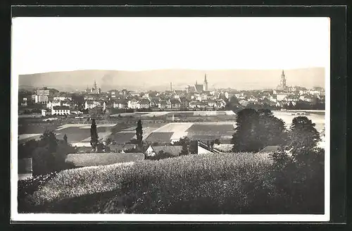 AK Prossnitz /Prostejov, Celkový pohled