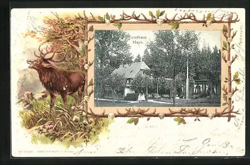 Passepartout-Lithographie Oybin, Gasthaus Forsthaus Hayn, röhrender Hirsch