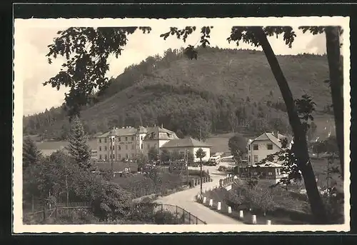 AK Klein Bristritz, Hotel Klenov