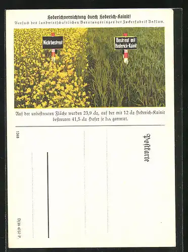 AK Reklame, Hederichvernichtung durch Hederich-Kainit!