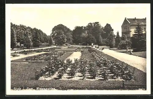 AK Stolp i. Pom., Rosengarten
