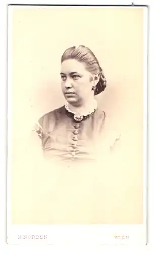 Fotografie H. Norden, Wien, Fleischmanngasse 5, Portrait junge Frau im Biedermeierkleid mit Brosche und Ohrringen