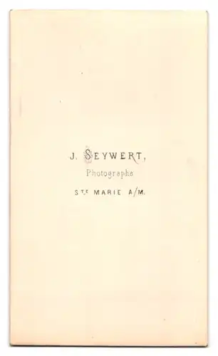 Fotografie J. Seywert, Ste. Marie a. M., Portrait Herr im Anzug mit Walrossbart