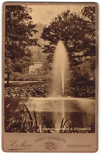 Fotografie E. Rose, Wernigerode, Ansicht Harzburg, Unter den Eichen, Wasserfontäne mit Villa im Hintergrund
