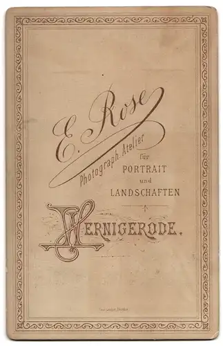 Fotografie E. Rose, Wernigerode, Ansicht Harzburg, Unter den Eichen, Wasserfontäne mit Villa im Hintergrund