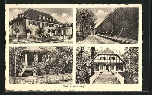AK Bad Sassendorf, Kurhaus, Gradierwerk, Musikhalle, Charlottenbrunnen