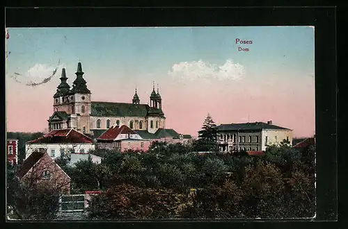 AK Posen / Poznan, Gesamtansicht vom Dom