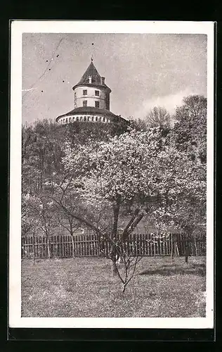 AK Humprecht, Zámek Humprecht u Sobotky, Schloss in der Frühlingssonne