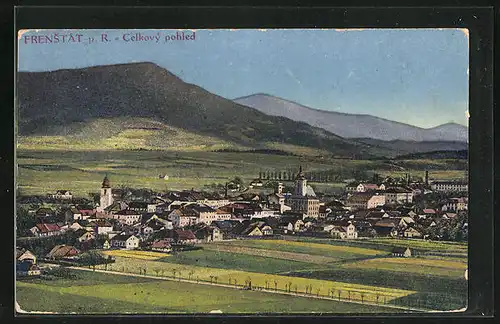 AK Frenstat pod Radhostem, Celkovy pohled